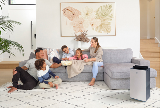 Daikin Air Purifiers